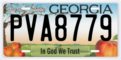 GA license plate PVA8779