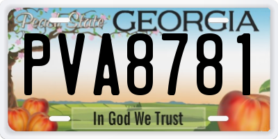 GA license plate PVA8781