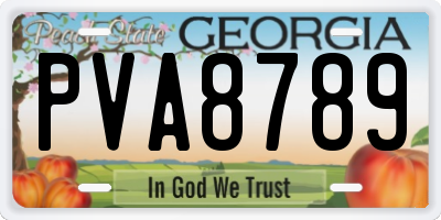 GA license plate PVA8789