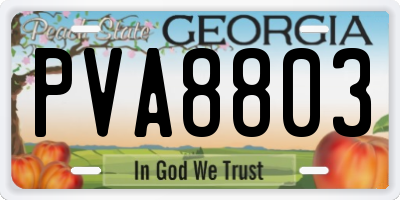 GA license plate PVA8803