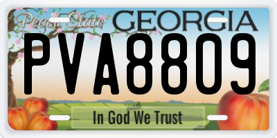 GA license plate PVA8809
