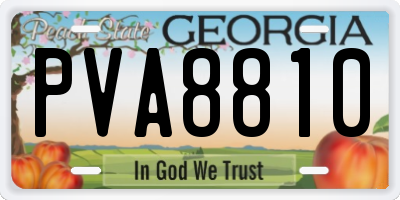 GA license plate PVA8810