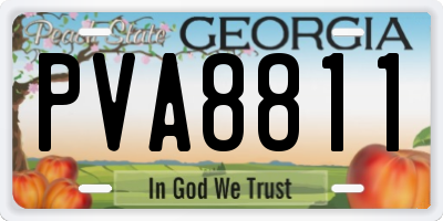 GA license plate PVA8811