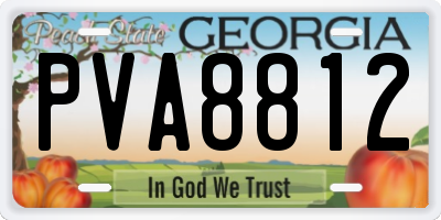 GA license plate PVA8812