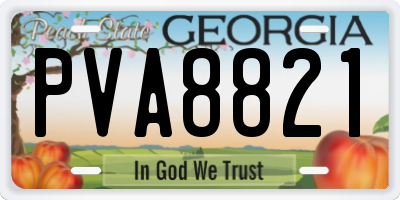 GA license plate PVA8821