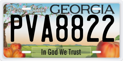GA license plate PVA8822