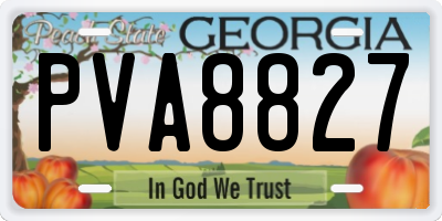 GA license plate PVA8827