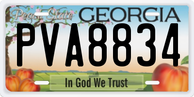 GA license plate PVA8834