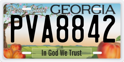GA license plate PVA8842