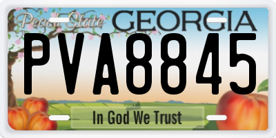GA license plate PVA8845