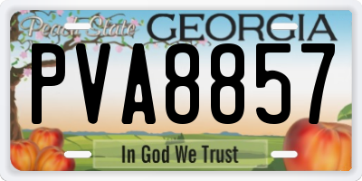 GA license plate PVA8857