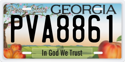 GA license plate PVA8861