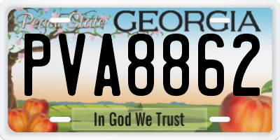 GA license plate PVA8862