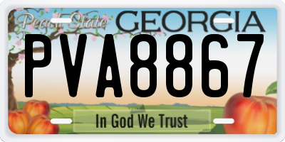 GA license plate PVA8867