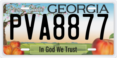 GA license plate PVA8877