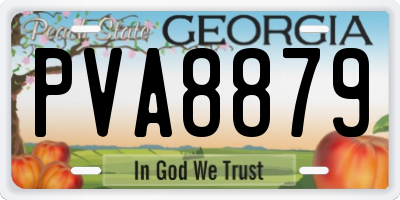 GA license plate PVA8879