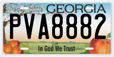 GA license plate PVA8882