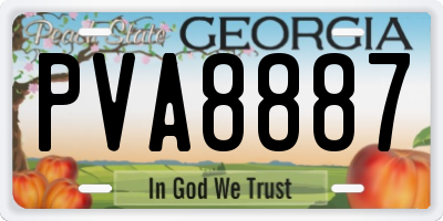 GA license plate PVA8887