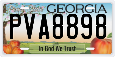 GA license plate PVA8898
