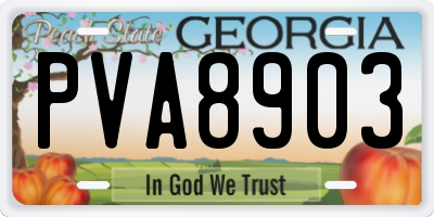 GA license plate PVA8903