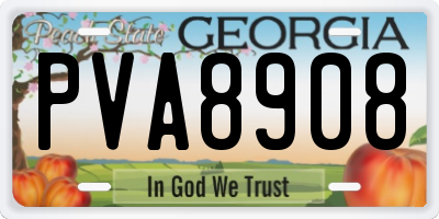 GA license plate PVA8908