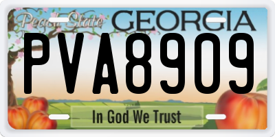 GA license plate PVA8909