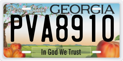 GA license plate PVA8910