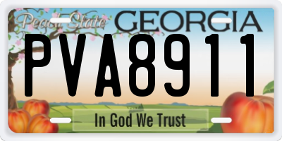 GA license plate PVA8911
