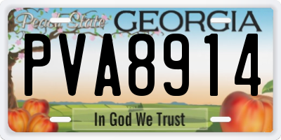 GA license plate PVA8914