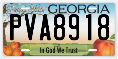 GA license plate PVA8918