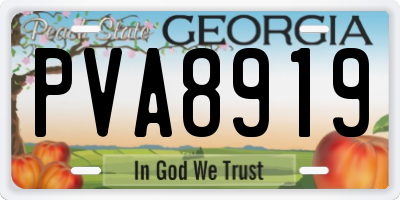 GA license plate PVA8919