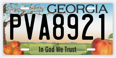 GA license plate PVA8921