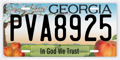 GA license plate PVA8925