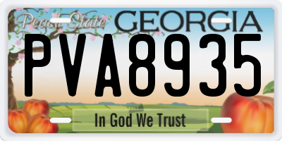GA license plate PVA8935