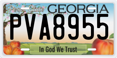 GA license plate PVA8955
