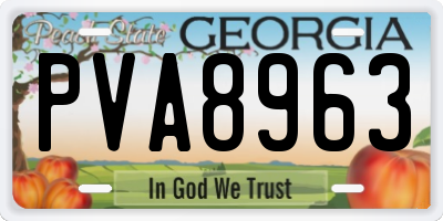 GA license plate PVA8963