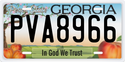 GA license plate PVA8966