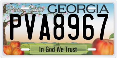 GA license plate PVA8967