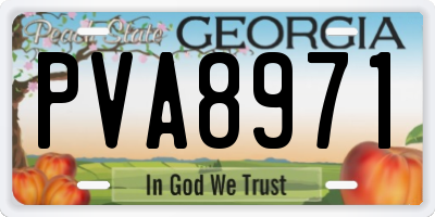 GA license plate PVA8971