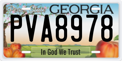 GA license plate PVA8978