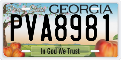 GA license plate PVA8981
