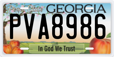 GA license plate PVA8986