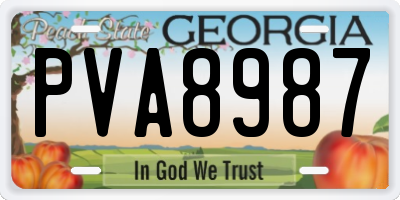 GA license plate PVA8987