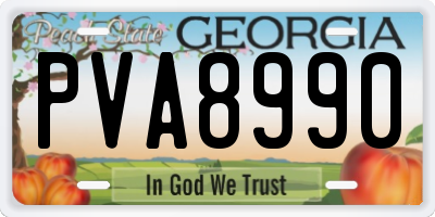 GA license plate PVA8990