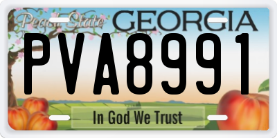 GA license plate PVA8991