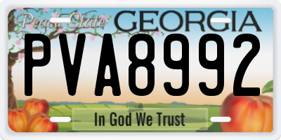 GA license plate PVA8992