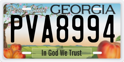 GA license plate PVA8994