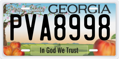 GA license plate PVA8998