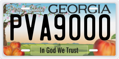 GA license plate PVA9000