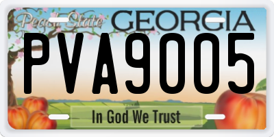 GA license plate PVA9005